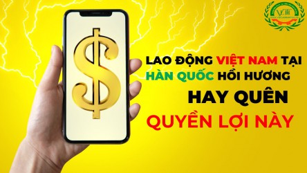 Gần 1000 lao động Việt tại Hàn Quốc "bỏ quên" 30 tỷ đồng bảo hiểm