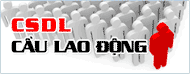 Cơ sở dữ liệu cung lao động