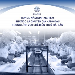 🔥 Tuyển 400 Nữ Công Nhân – Việc Làm Ổn Định Tại KCN Vũng Áng I – Thu Nhập Đến 9,5 Triệu!