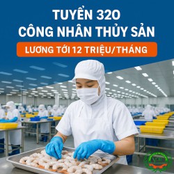 Tuyển dụng 320 công nhân chế biến thủy Sản