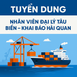 🚢Tuyển dụng nhân viên đại lý tàu biển - khai báo hải quan