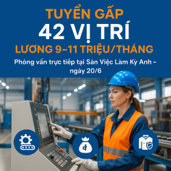 thông bảo tuyển dụng