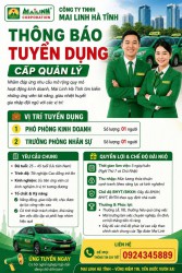 Công ty TNHH Mai Linh Hà Tĩnh tuyển dụng cấp quản lý – Cơ hội phát triển sự nghiệp trong môi trường chuyên nghiệp
