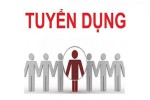 Tuyen dung