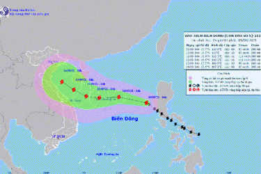Dự báo về hướng di chuyển của bão số 5