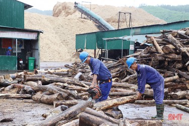 Thưởng tết của doanh nghiệp tại Hà Tĩnh cao nhất 40 triệu đồng