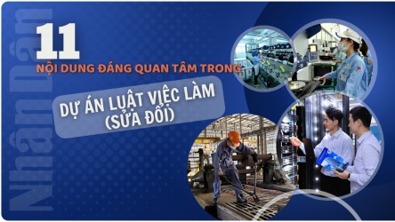 Thường trực Ủy ban Xã hội thẩm tra sơ bộ dự án Luật Việc làm (sửa đổi)