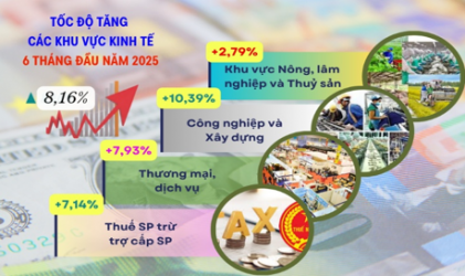 Bản tin thị trường lao động Hà Tĩnh 6 tháng đầu năm 2025