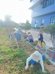 Trung tâm Dịch vụ việc làm Hà Tĩnh hưởng ứng Ngày Vệ sinh yêu nước nâng cao sức...