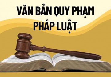 QUY ĐINH MỚI