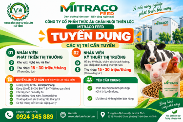 Mitraco Feed tuyển dụng 2 vị trí, thu nhập 15–30 triệu đồng/tháng