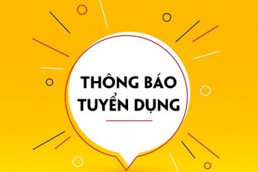 Công ty TNHH SX và TM An Nam thông báo tuyển dụng