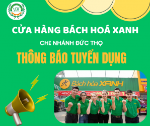 Bách Hóa Xanh chi nhánh Đức Thọ thông báo tuyển dụng