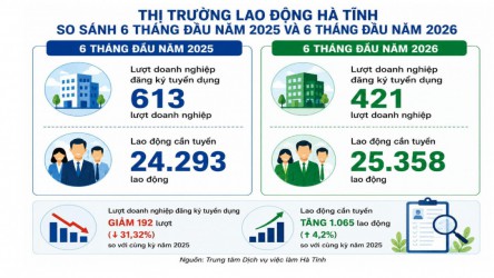 Bản tin thông tin thị trường lao động 6 tháng đầu năm 2026