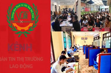 Bản Tin Thông Tin Thị Trường Lao Động 9 tháng đầu năm 2024