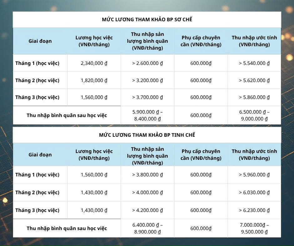 📌 Chi tiết mức thu nhập từng tháng được đính kèm trong bảng thông tin của Công ty: